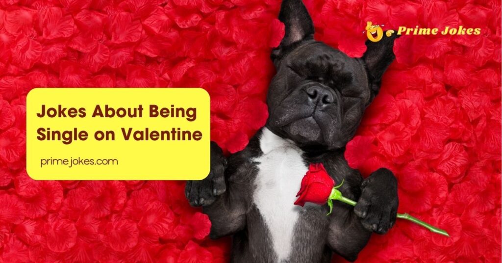 Jokes About Being Single on Valentine